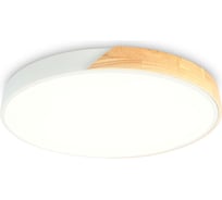 Накладной светильник Ambrella Light ORBITAL FZ1300