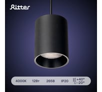 Трековый подвесной светодиодный светильник RITTER Artline цилиндр 80x100mm 60x25mm 12Вт 960Лм 4000К 230В алюминий черный 59703 6