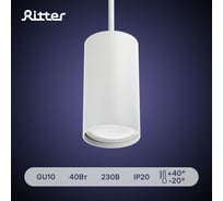 Трековый подвесной светодиодный светильник RITTER Artline цилиндр 55x100mm GU10 230В 2,6м2 алюминий белый 59927 6