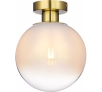 Накладной светильник ST luce CASSIUS SL1190.202.01