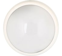 Влагозащищённый светильник 24LED, 12Вт, IP65, 220В круг Camelion LBL-0124-NW C01 11442