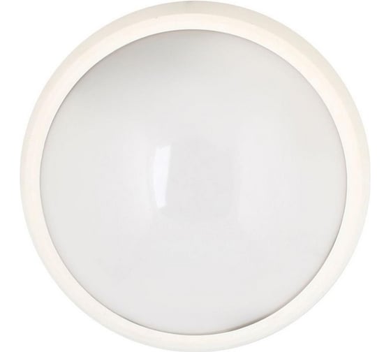 Влагозащищённый светильник 24LED, 12Вт, IP65, 220В круг Camelion LBL-0124-NW C01 11442 1