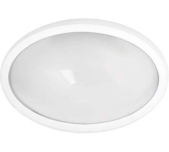 Влагозащищённый светильник 24LED, 12Вт, IP65, 220В овал Camelion LBL-0224-NW C01 11444