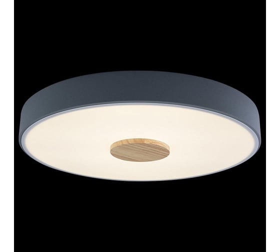 Накладной светильник Axel 2 LOFT IT 10003/24 Grey