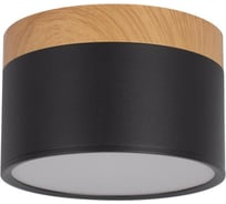 Накладной светильник LOFT IT Grape 10162 Black
