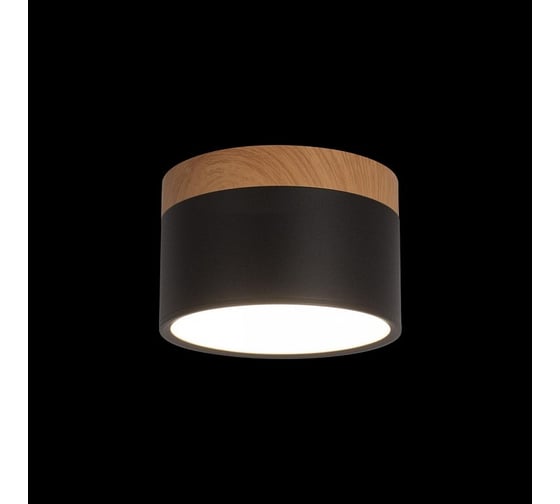 Накладной светильник LOFT IT Grape 10162 Black