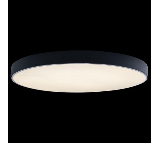 Накладной светильник LOFT IT Axel 1 10002/48 Black