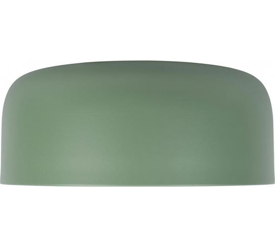 Накладной светильник LOFT IT Axel 10201/350 Green