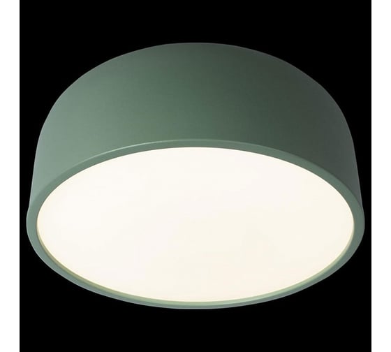 Накладной светильник LOFT IT Axel 10201/350 Green