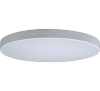 Накладной светильник LOFT IT Axel 1 10002/48 White