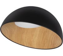 Накладной светильник LOFT IT Egg 10197/500 Black