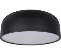 Накладной светильник LOFT IT Axel 10201/480 Black