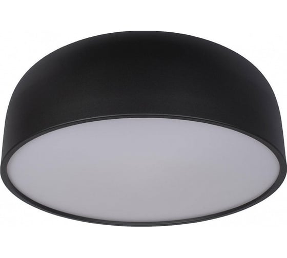 Накладной светильник LOFT IT Axel 10201/480 Black