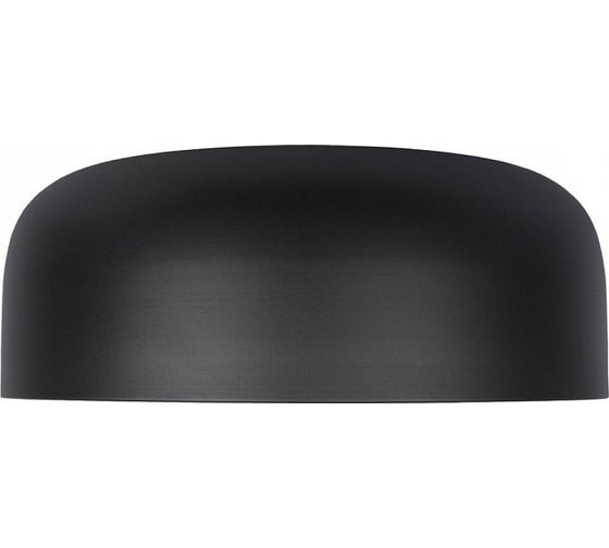 Накладной светильник LOFT IT Axel 10201/480 Black