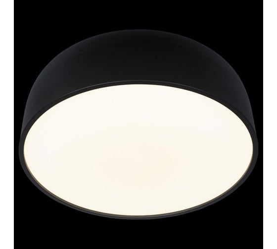 Накладной светильник LOFT IT Axel 10201/480 Black