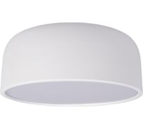 Накладной светильник LOFT IT Axel 10201/350 White