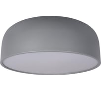 Накладной светильник LOFT IT Axel 10201/480 Grey