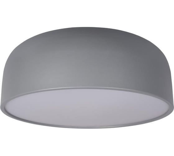 Накладной светильник LOFT IT Axel 10201/480 Grey
