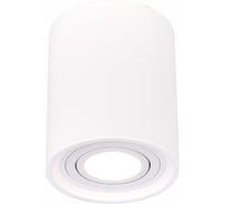 Накладной светильник ST luce ST156.502.01