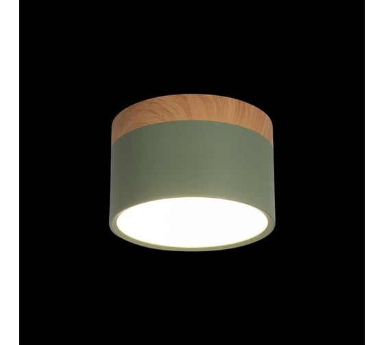 Накладной светильник LOFT IT Grape 10162 Green
