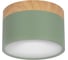Накладной светильник LOFT IT Grape 10162 Green 1