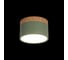 Накладной светильник LOFT IT Grape 10162 Green 2
