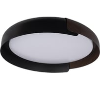 Накладной светильник LOFT IT Coin 10198 Black