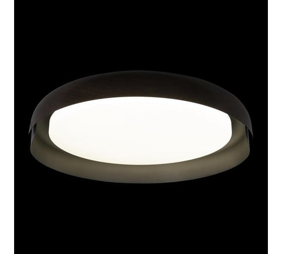 Накладной светильник LOFT IT Coin 10198 Black