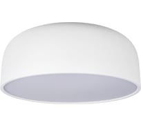 Накладной светильник LOFT IT Axel 10201/480 White