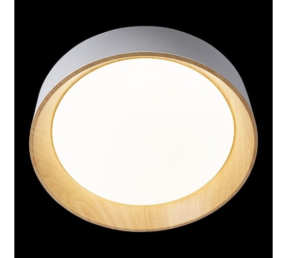 Накладной светильник LOFT IT Coin 10202 White