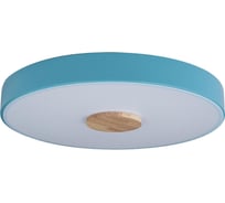 Накладной светильник LOFT IT Axel 2 10003/24 Blue