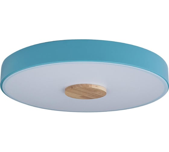 Накладной светильник LOFT IT Axel 2 10003/24 Blue