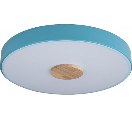 Накладной светильник LOFT IT Axel 2 10003/24 Blue