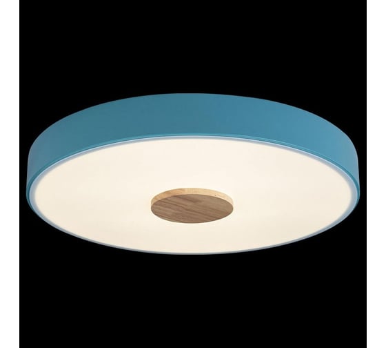 Накладной светильник LOFT IT Axel 2 10003/24 Blue