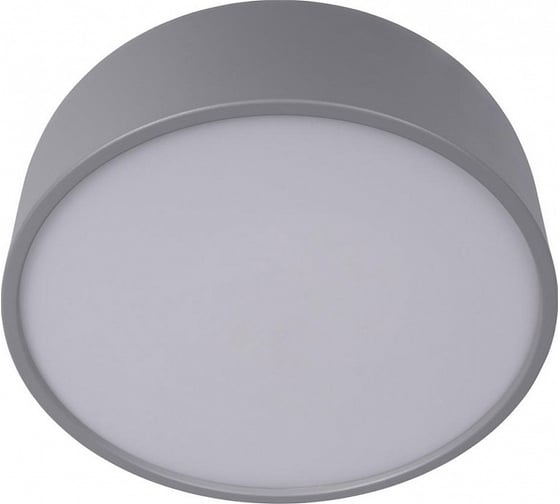 Накладной светильник LOFT IT Axel 10201/350 Grey