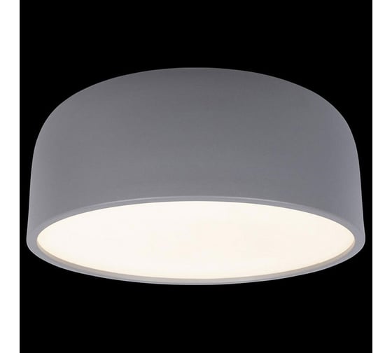 Накладной светильник LOFT IT Axel 10201/350 Grey