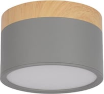 Накладной светильник LOFT IT Grape 10162 Grey