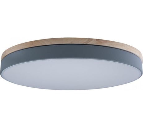 Накладной светильник LOFT IT 10001/36 Axel Grey