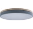 Накладной светильник LOFT IT 10001/36 Axel Grey 1