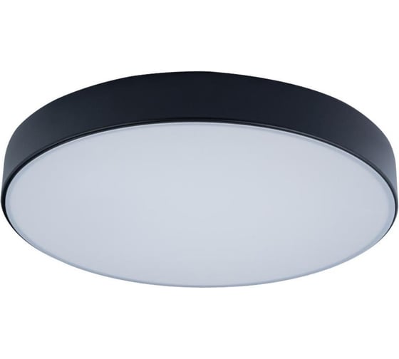 Накладной светильник LOFT IT Axel 1 10002/24 Black