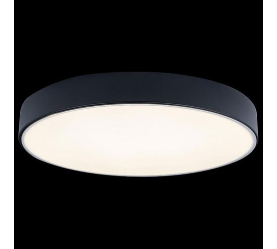Накладной светильник LOFT IT Axel 1 10002/24 Black