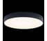 Накладной светильник LOFT IT Axel 1 10002/24 Black 2