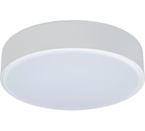 Накладной светильник LOFT IT Axel 1 10002/12 White