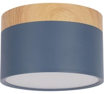 Накладной светильник LOFT IT Grape 10162 Blue