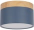 Накладной светильник LOFT IT Grape 10162 Blue 1
