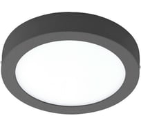 Накладной светильник ПРОМО Eglo ARGOLIS-C 98173