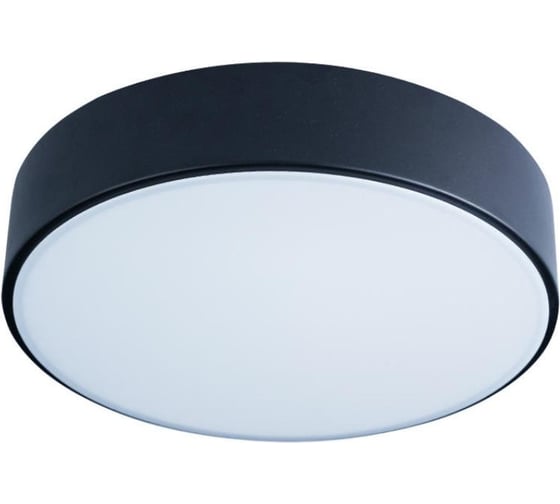 Накладной светильник LOFT IT Axel 1 10002/12 Black