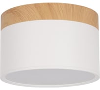 Накладной светильник LOFT IT Grape 10162 White