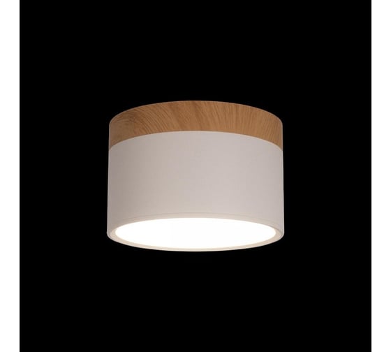 Накладной светильник LOFT IT Grape 10162 White