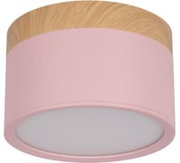 Накладной светильник LOFT IT Grape 10162 Pink